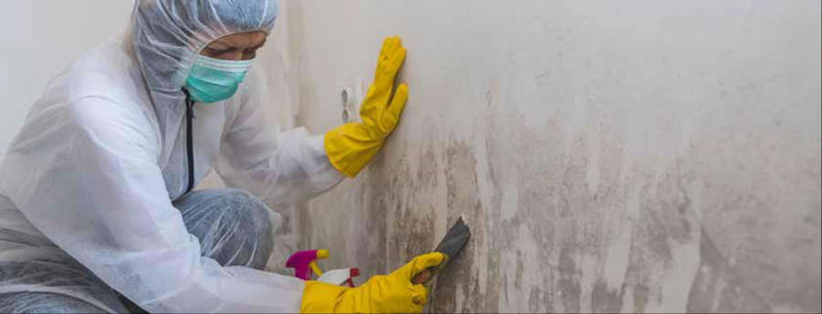 mold technician